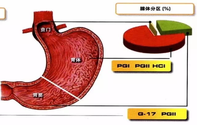 θg-17,pgi,pgiiʾͼ