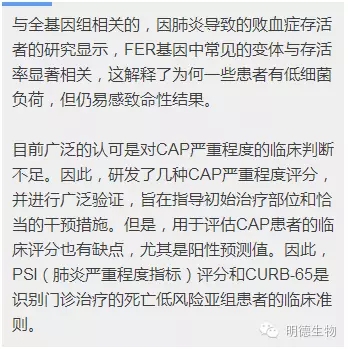 21.webp.jpg